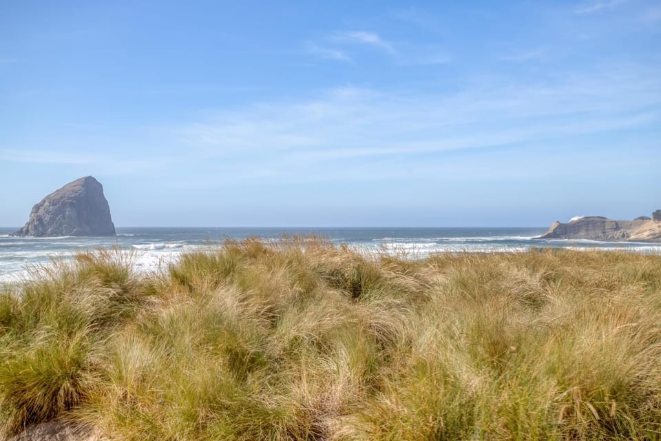 Vitamin Sea House in Pacific City