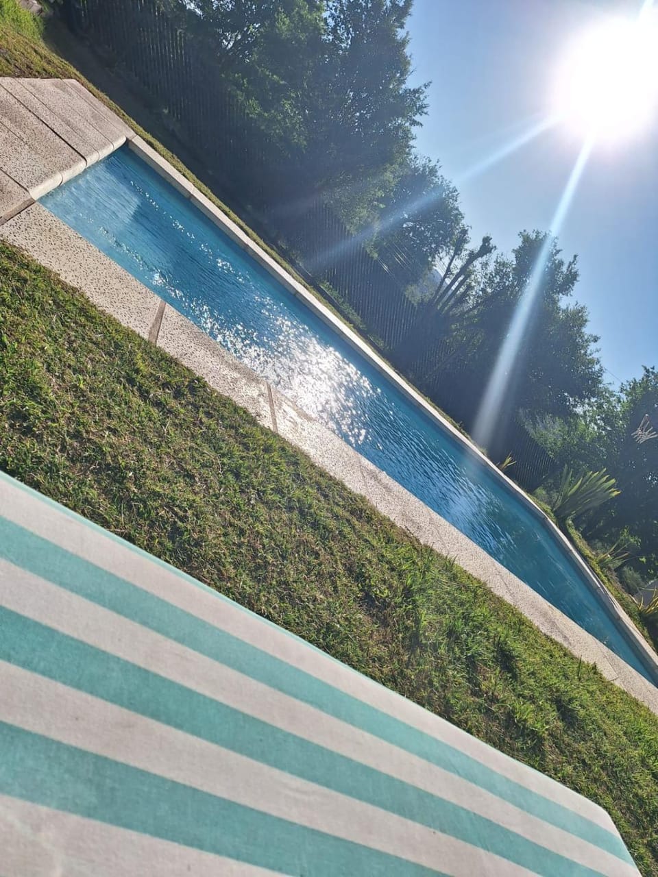 Garden, Swimming pool