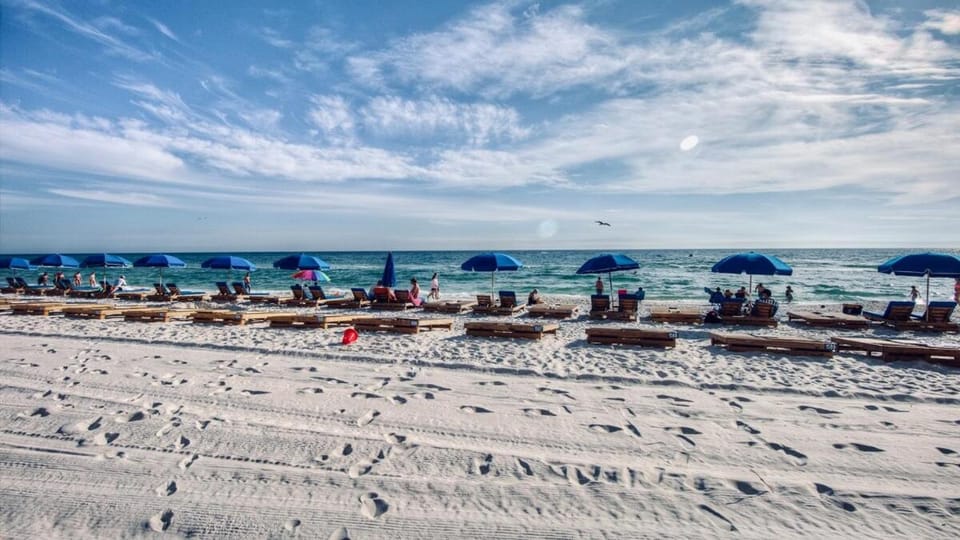 Cheap Getaway, Ocean View, PCB House in Panama City Beach