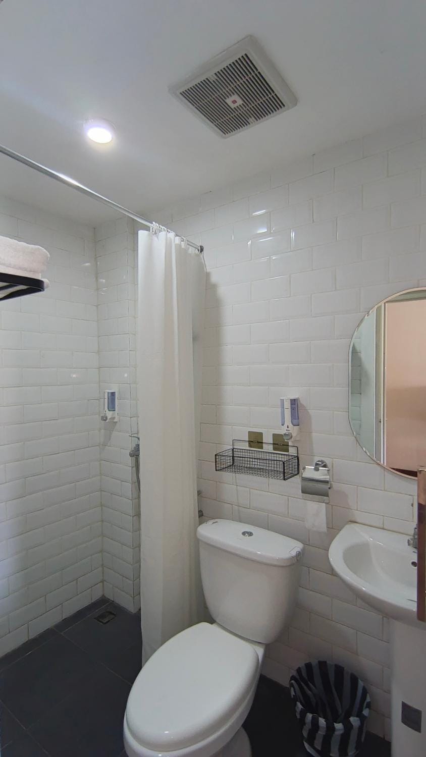 Shower, Toilet, Bathroom, bidet