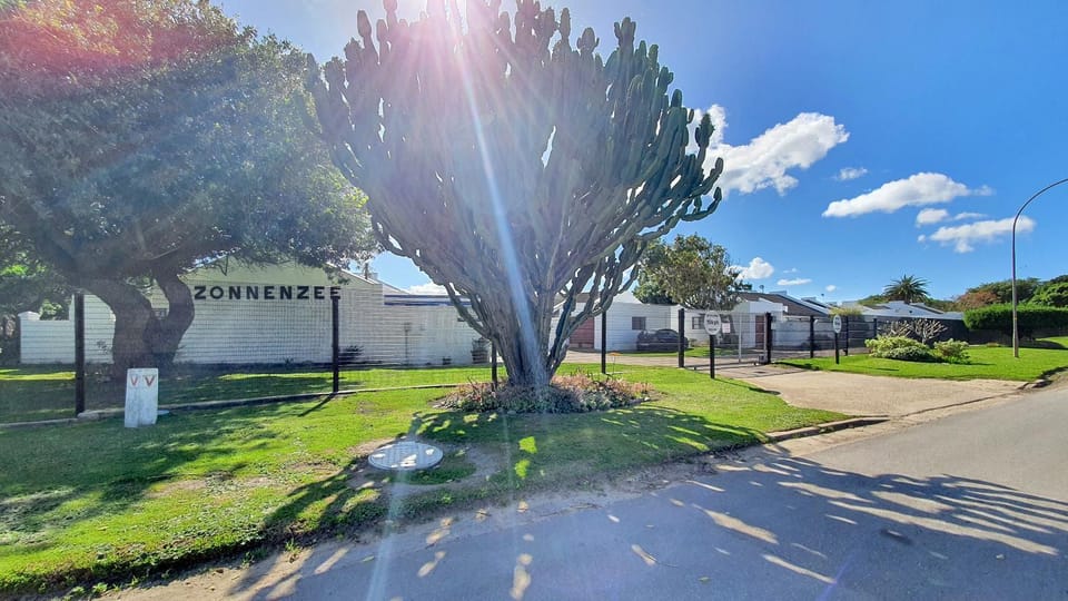 Neighbourhood, Garden, Garden view, Street view