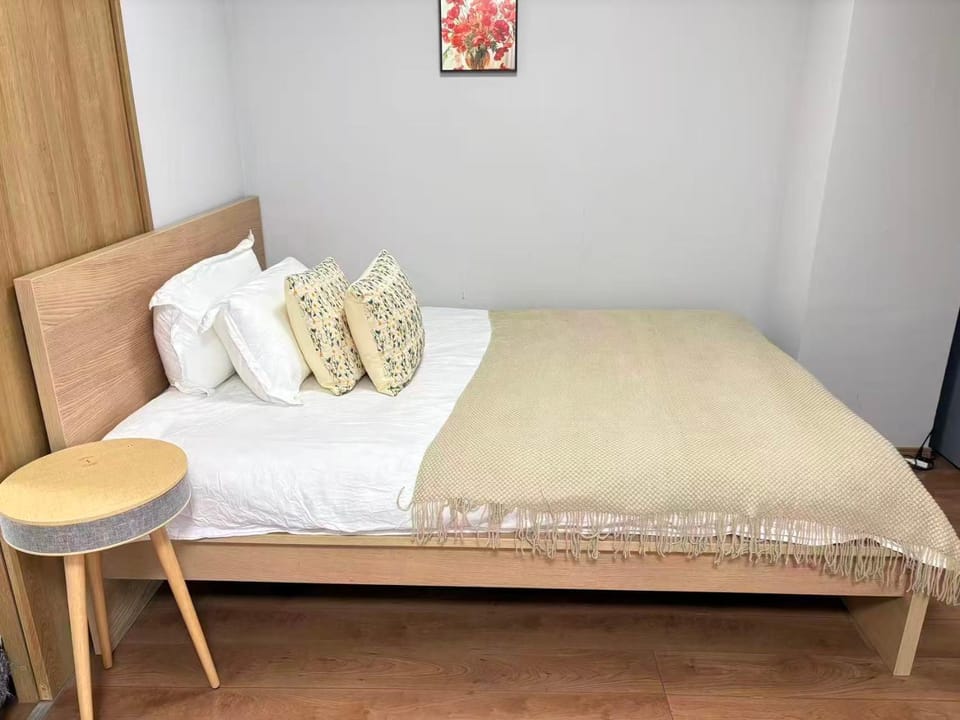 鸟越成田羽田机场可直达交通便利市中心 Apartment in Japan