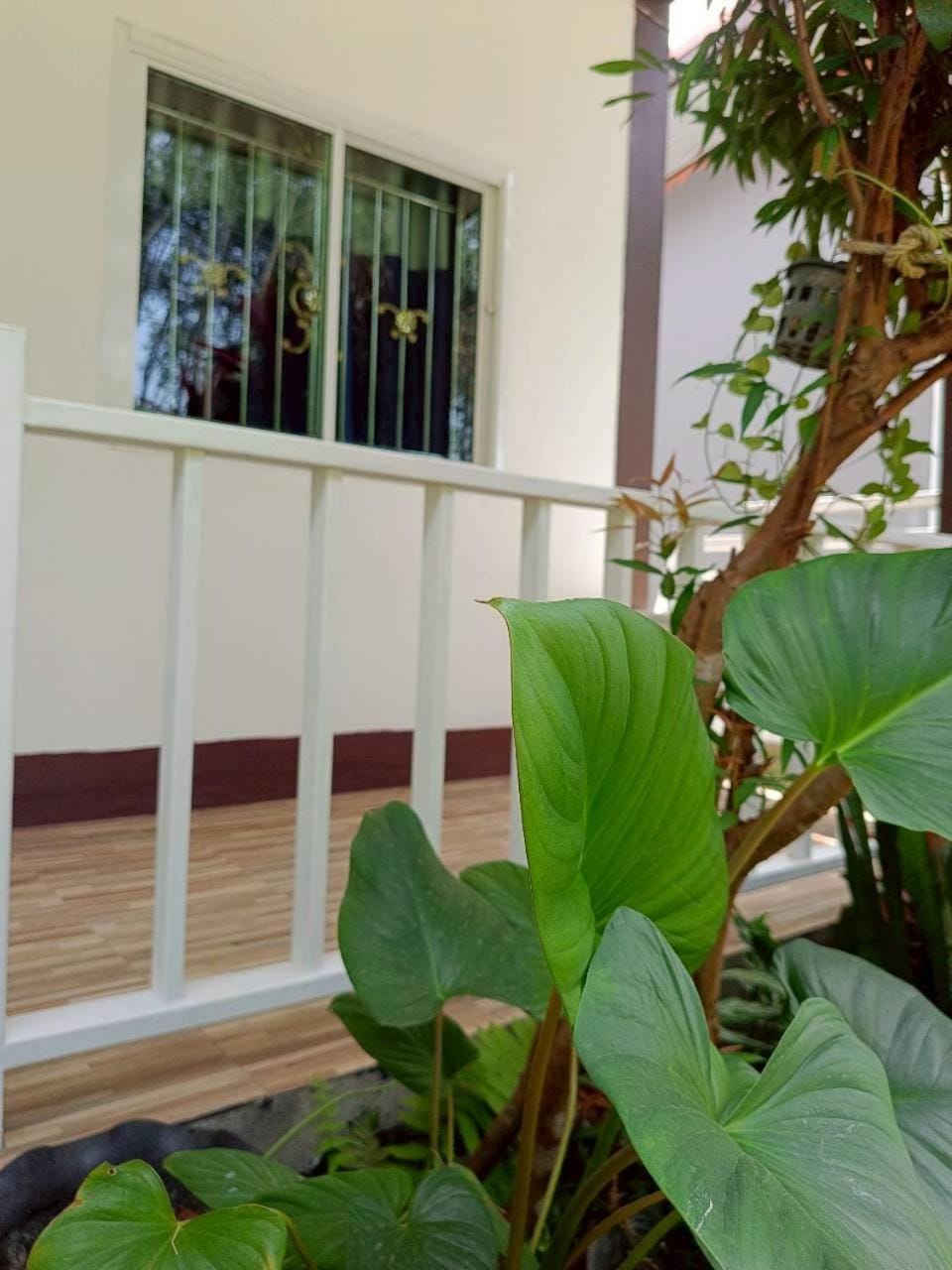 Garden, View (from property/room), Balcony/Terrace, Garden view