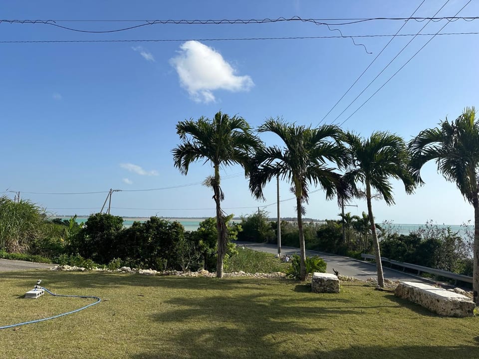 Garden view