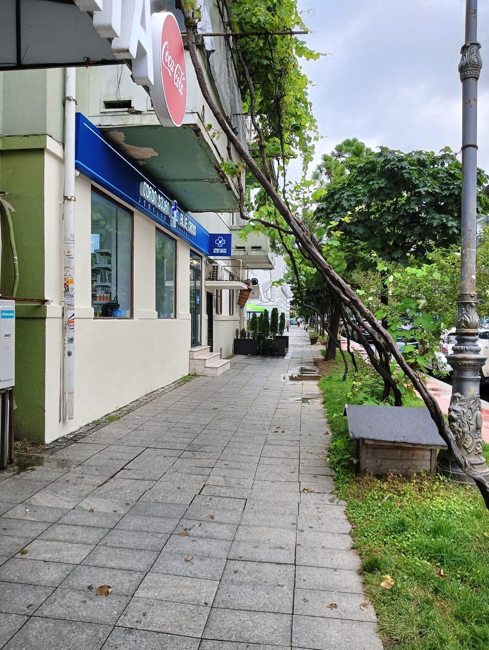 Property building, Day, Neighbourhood, Street view
