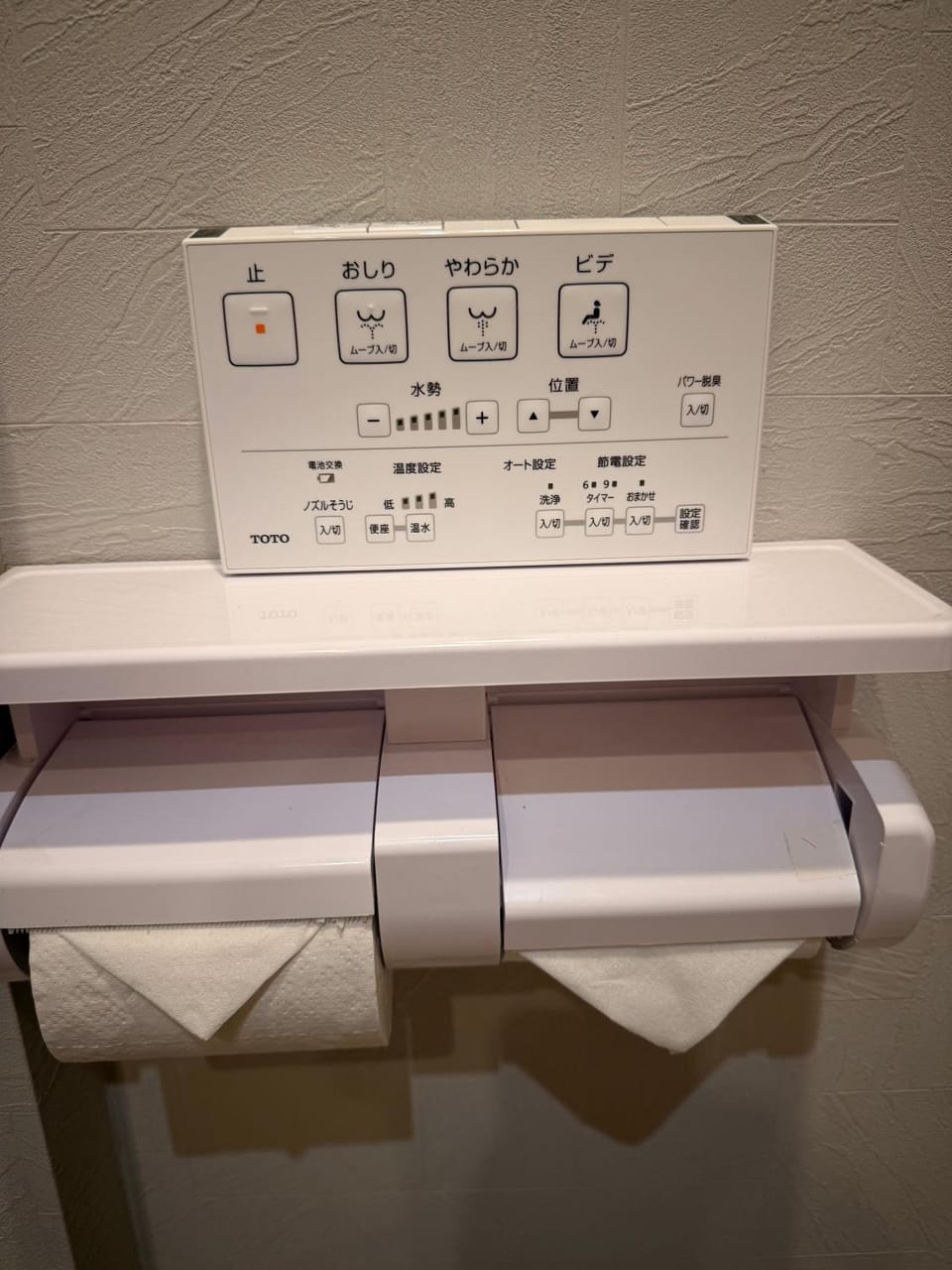 Toilet, Other