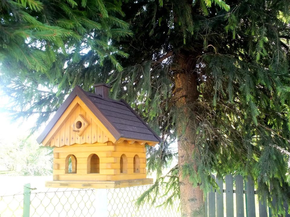 Property building, Day