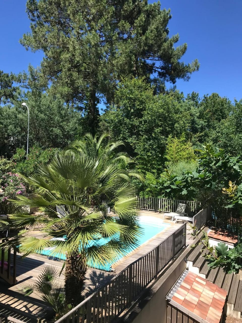 Garden, Swimming pool