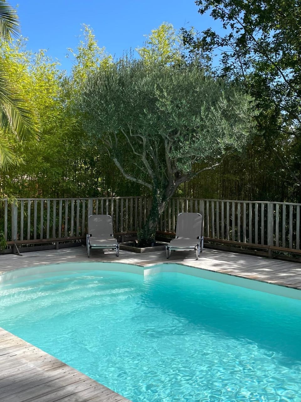 Swimming pool, sunbed