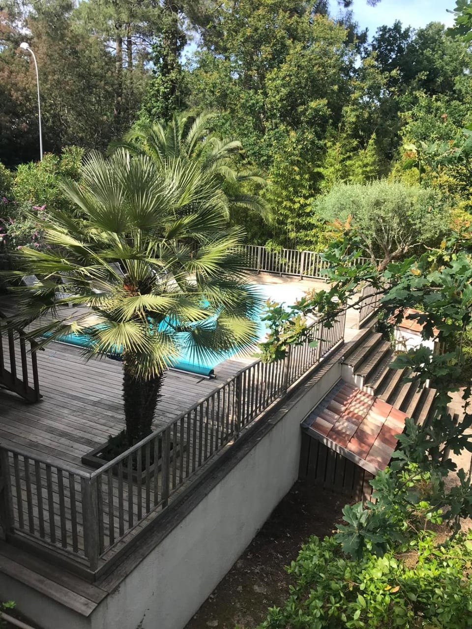 Garden, Garden view, Pool view, Swimming pool