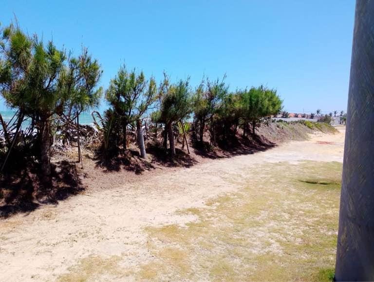 capongabeachce House in State of Ceará
