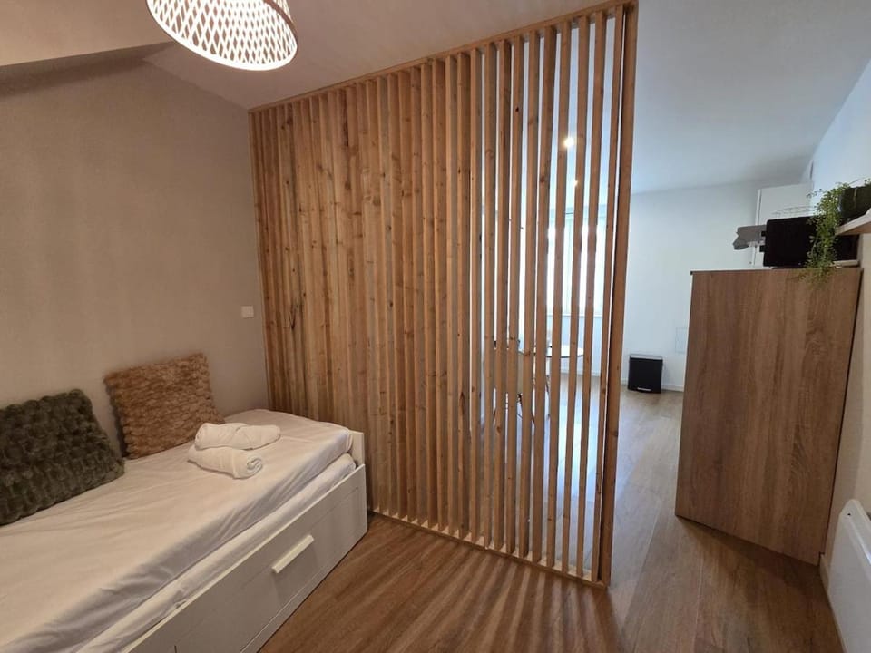 Le Simba - grand studio avec Wi-Fi Apartment in Nouvelle-Aquitaine