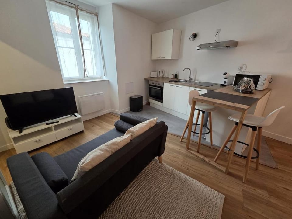 Le Timon - large studio avec Wi-Fi Apartment in Nouvelle-Aquitaine