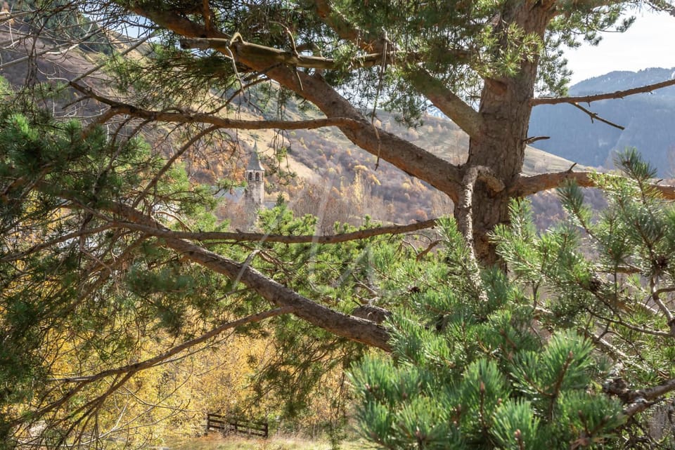 Mountain view