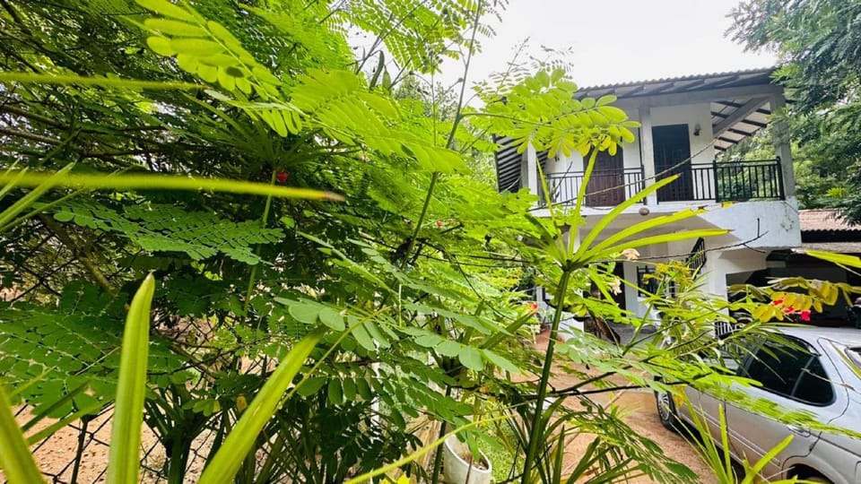 Property building, Day, Natural landscape, Garden, Garden view