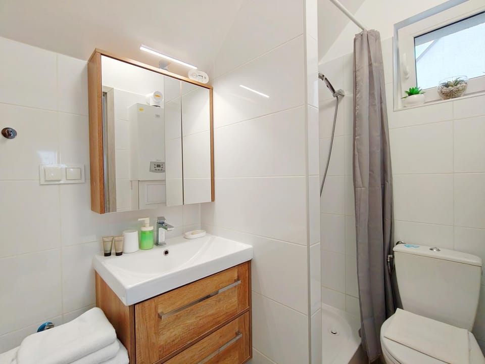 Shower, Toilet, Bathroom, towels