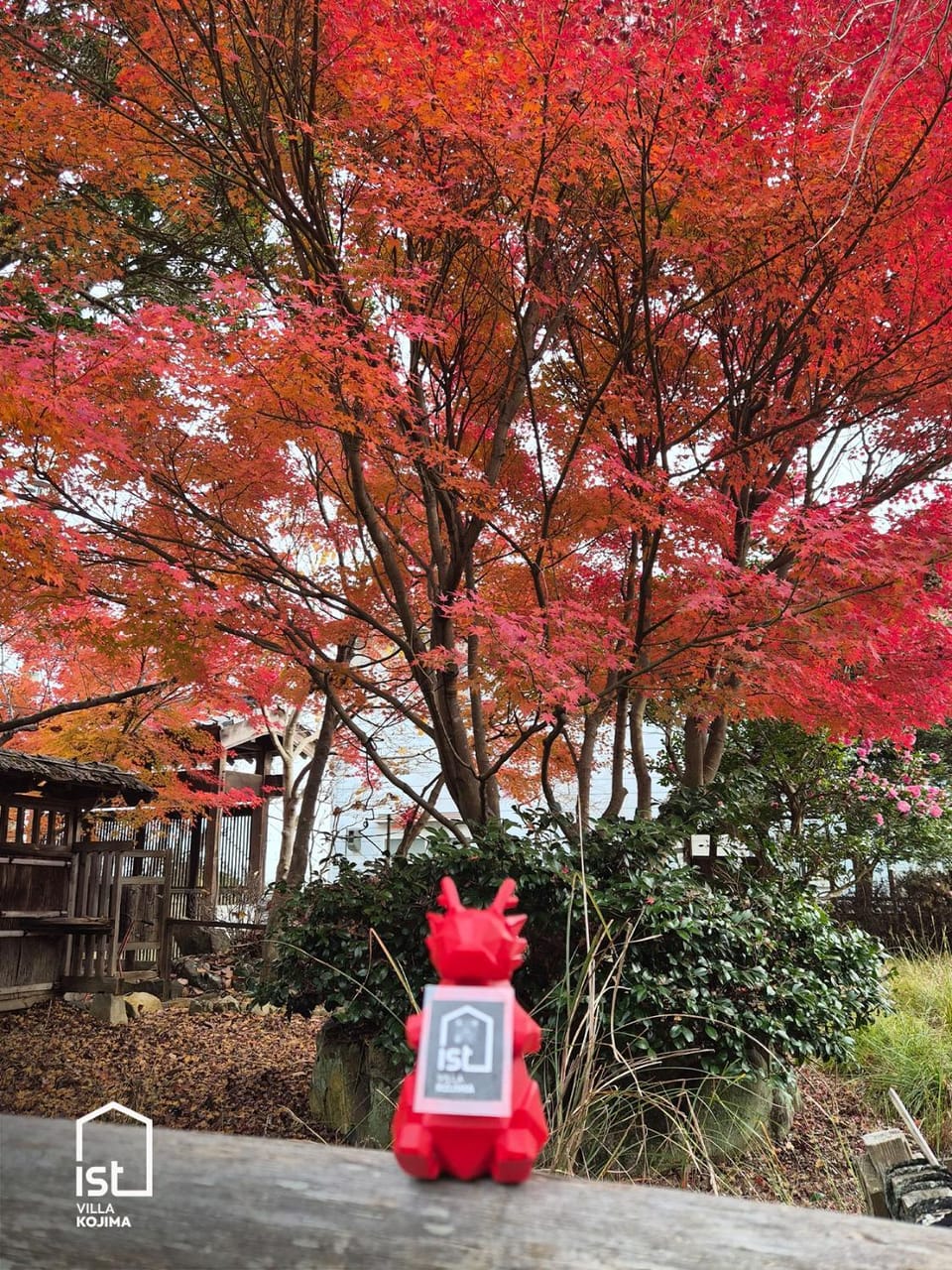 Autumn