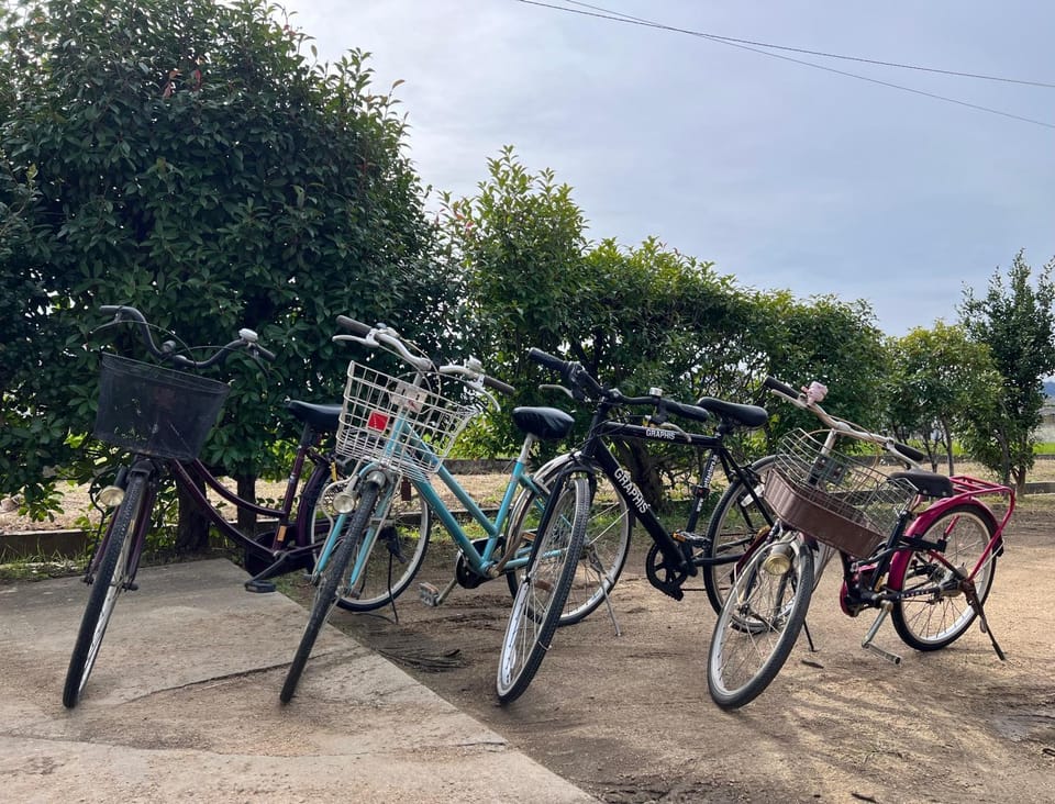 Cycling, Cycling
