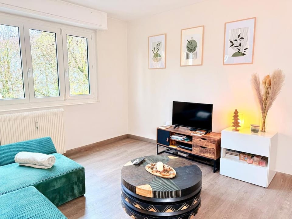 Cocon du Quai - Proche marché de Noël Apartment in Strasbourg
