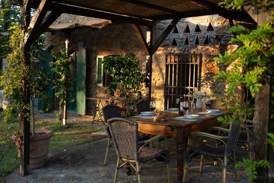 Patio, Spring, Garden, Dining area, Garden view