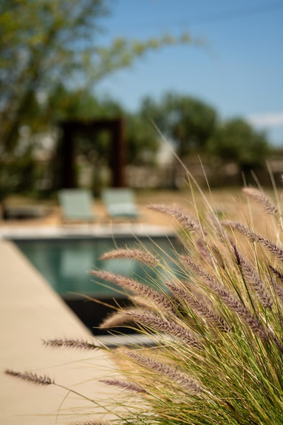 Day, Garden, Garden view, Pool view, Swimming pool