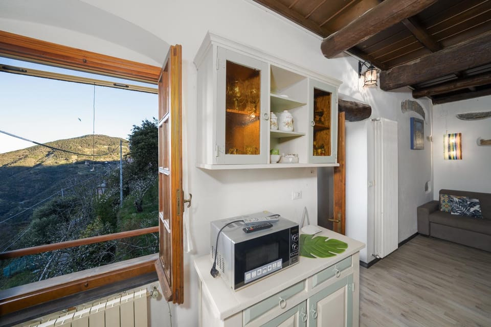Garden view, microwave