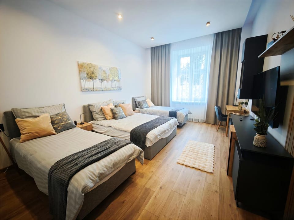 Old Town Apartment Apartment in Poland