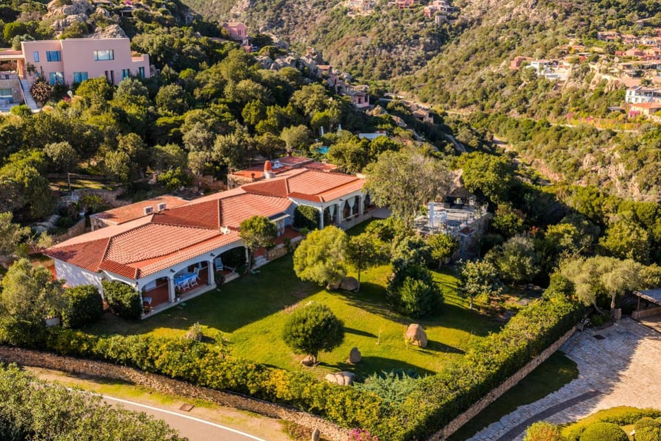 Property building, Spring, Day, Natural landscape, Bird's eye view, Garden, Mountain view