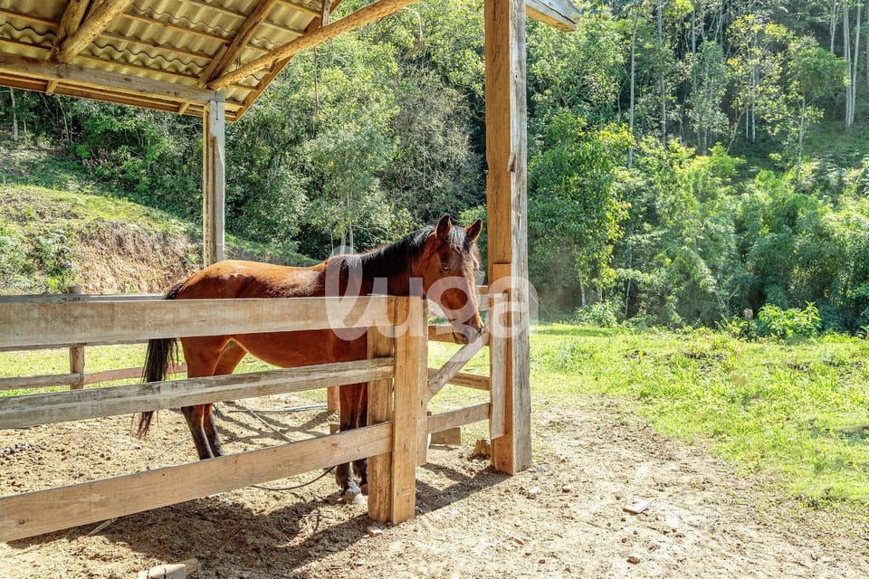Vieira Eco Inn – Deluxe Suite Nilza #1 Farm Stay in State of Santa Catarina
