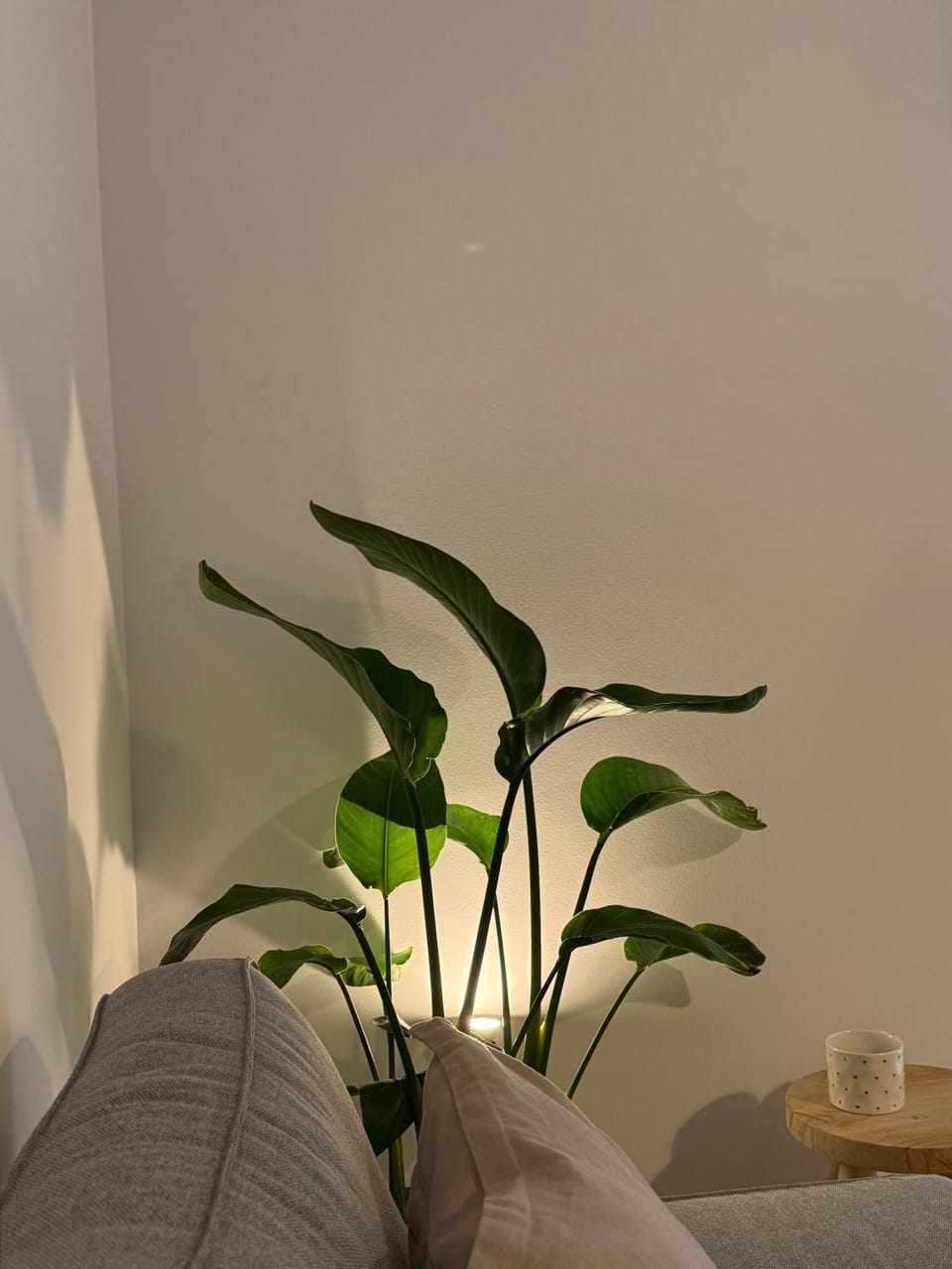 Achinoeè Apartment in Euboea