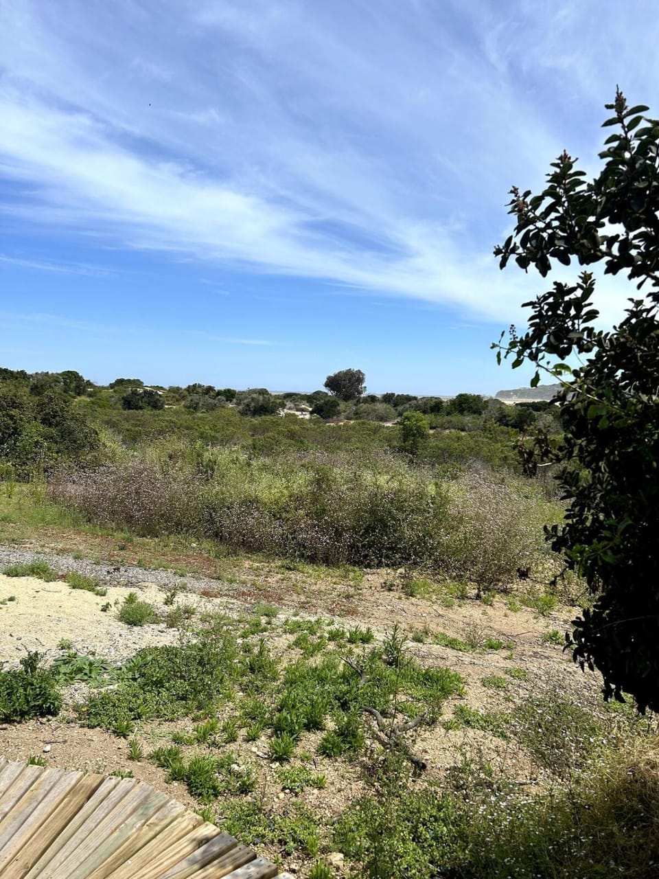 Glamping Tunquén Luxury tent in Santiago Metropolitan Region