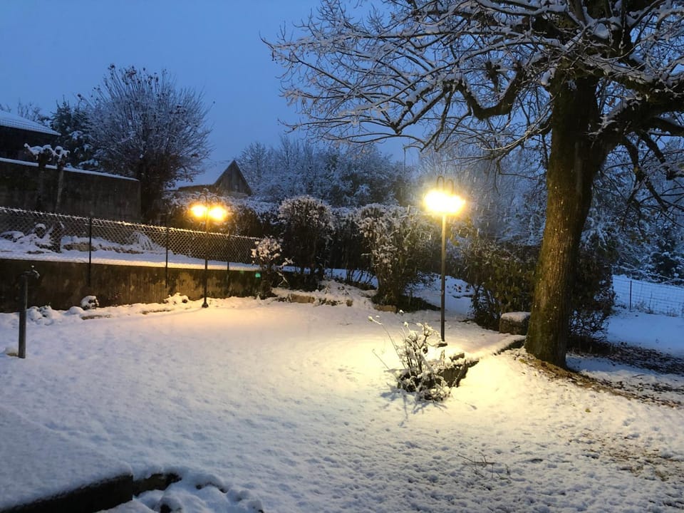 Winter