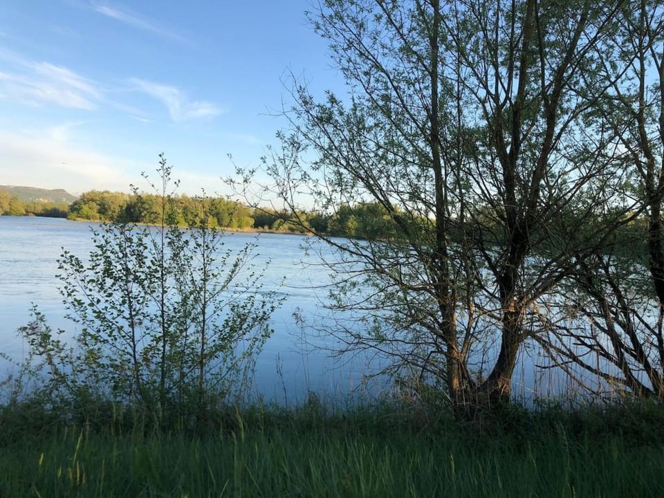 Natural landscape