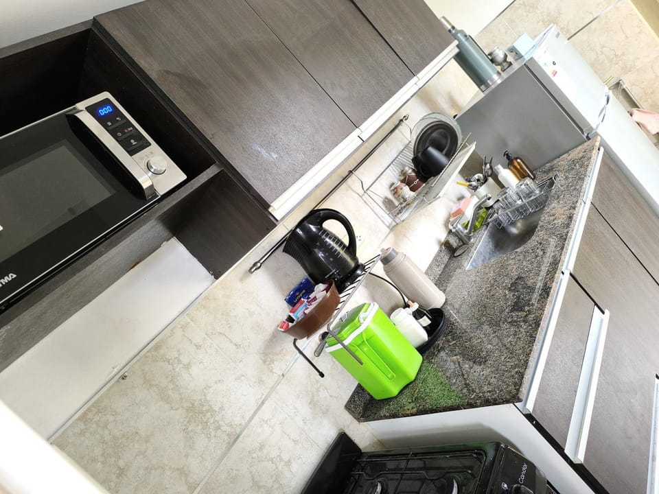 Kitchen or kitchenette, dishwasher
