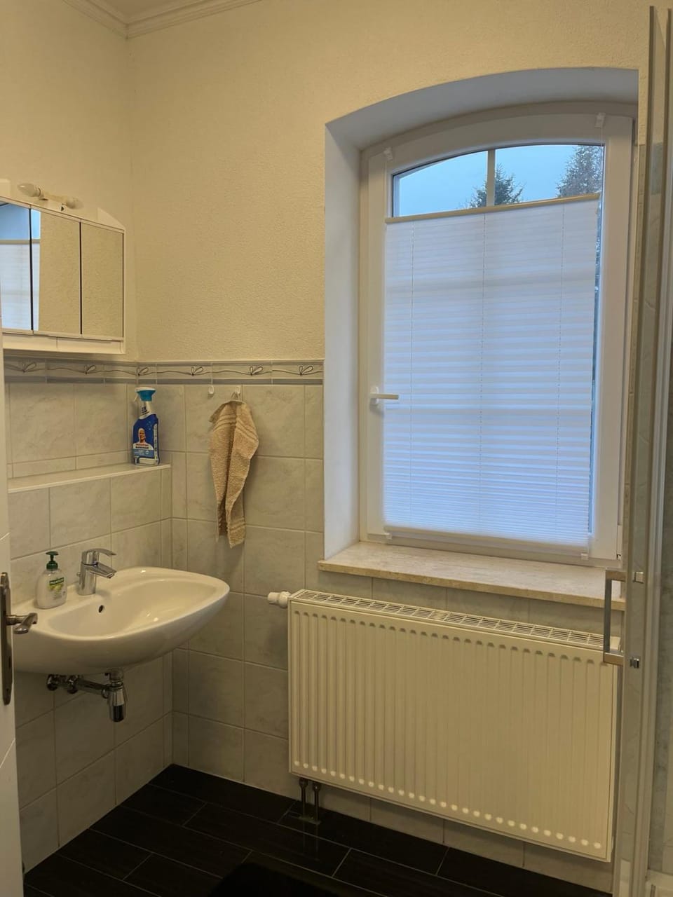 FeWo Goldberg Apartment in Thuringia, Germany