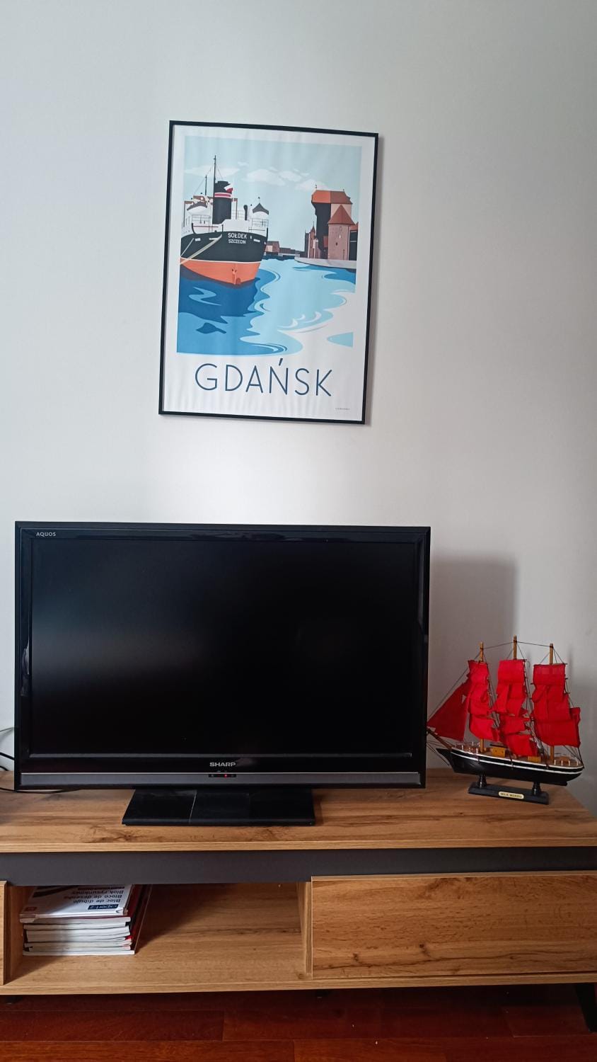 TV and multimedia