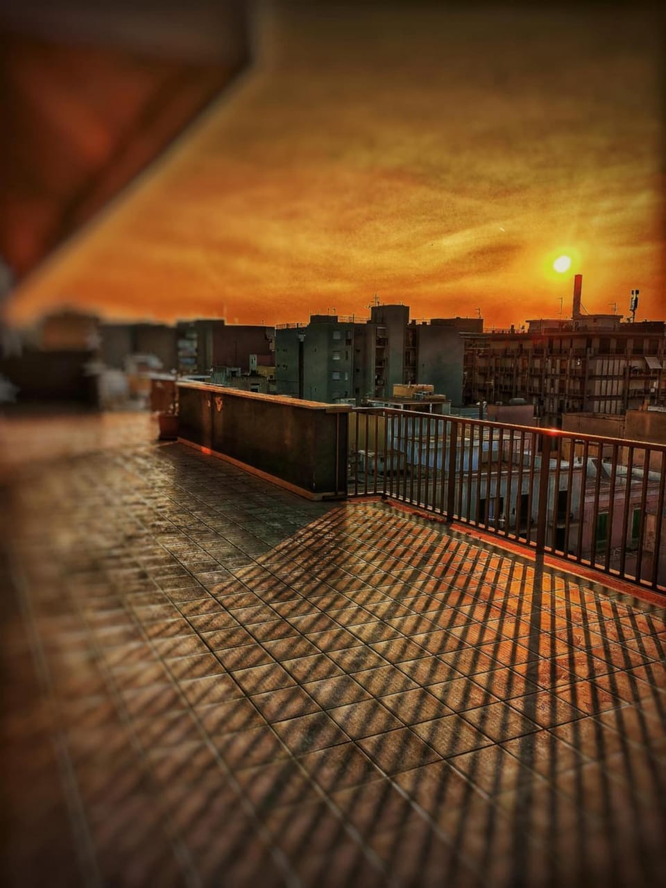 City view, Sunset