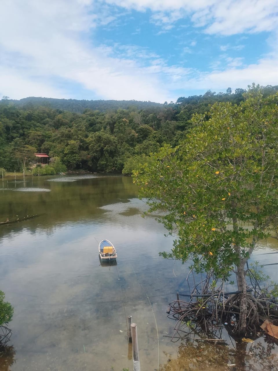 The Two Tigers - Sok San Village Chalet in Sihanoukville
