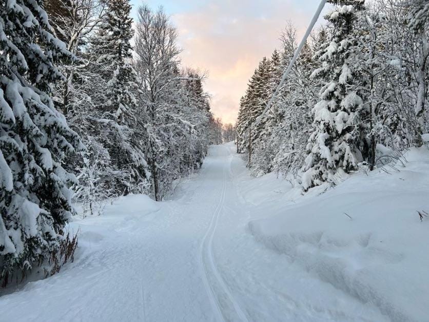 Skiing
