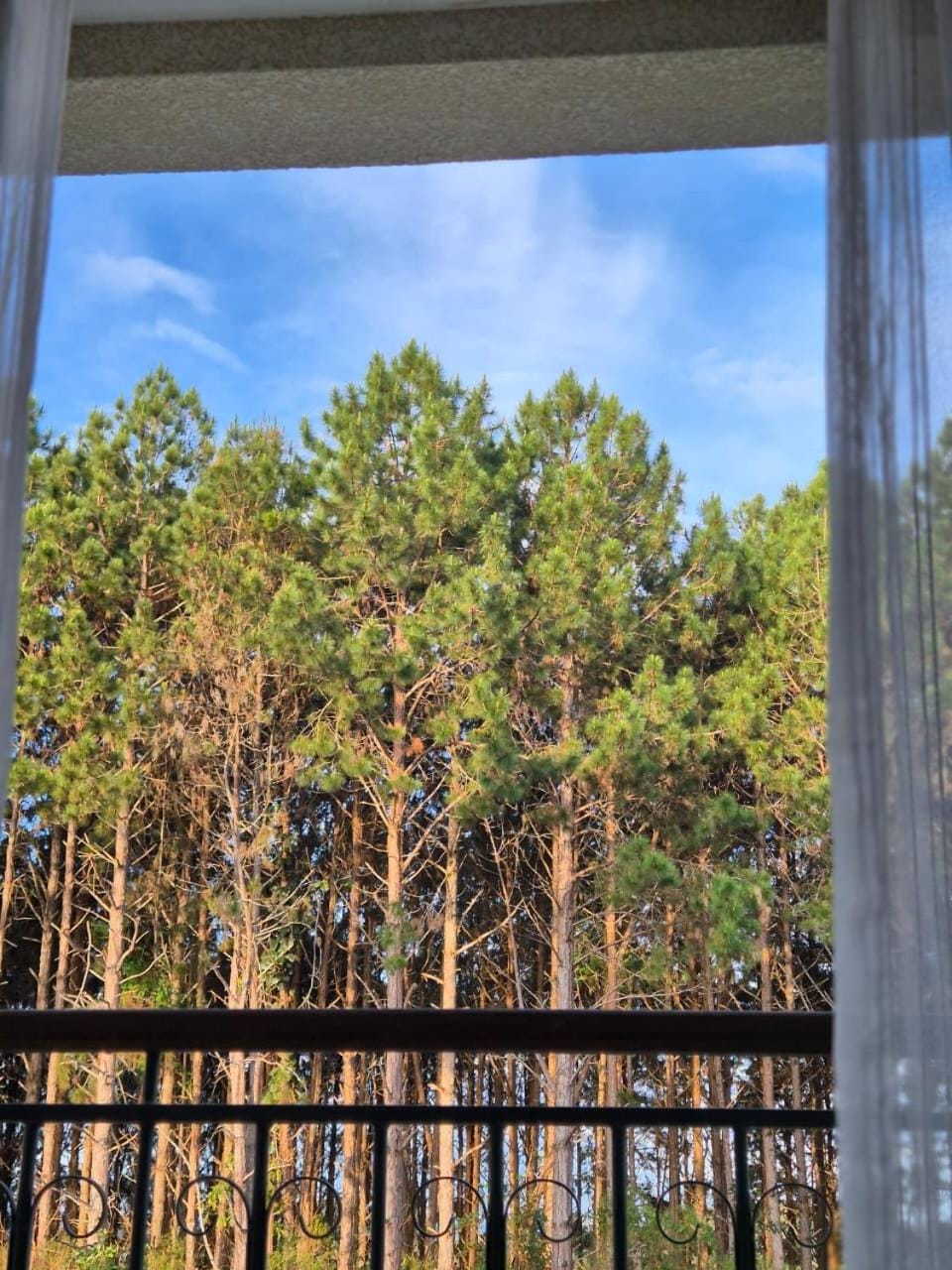 View (from property/room)