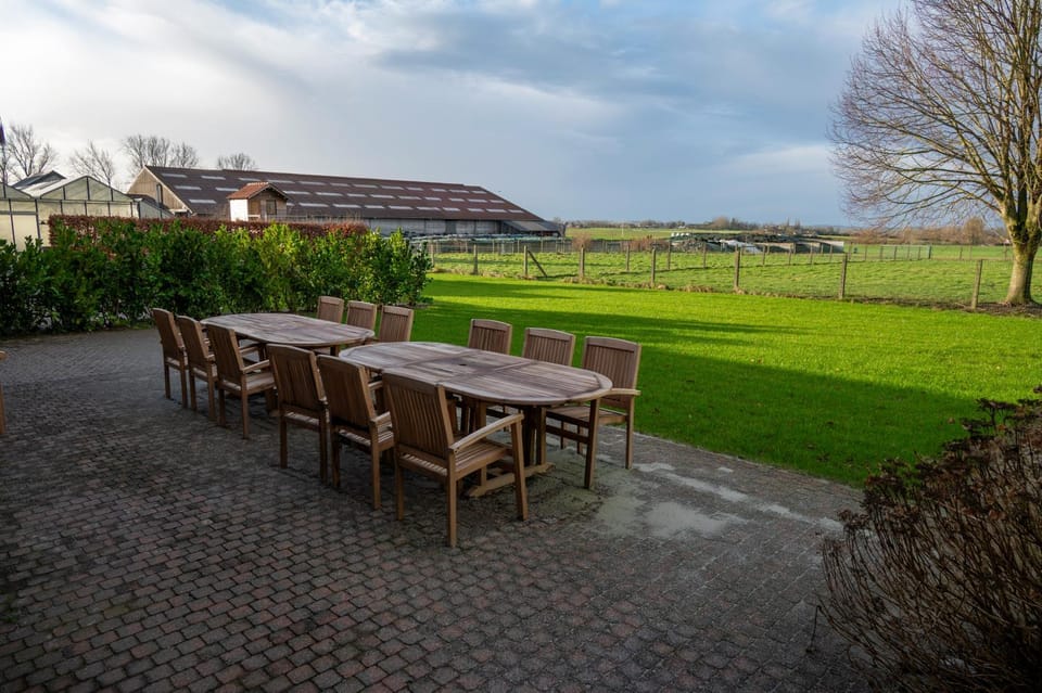 Spring, Natural landscape, Garden, Dining area, Garden view