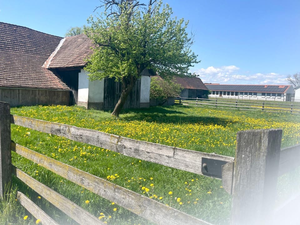 Spring, Natural landscape, Area and facilities