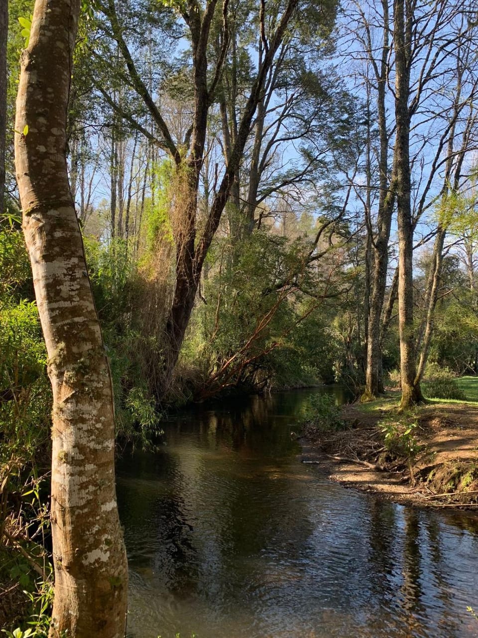 Garden view, River view, Open Air Bath