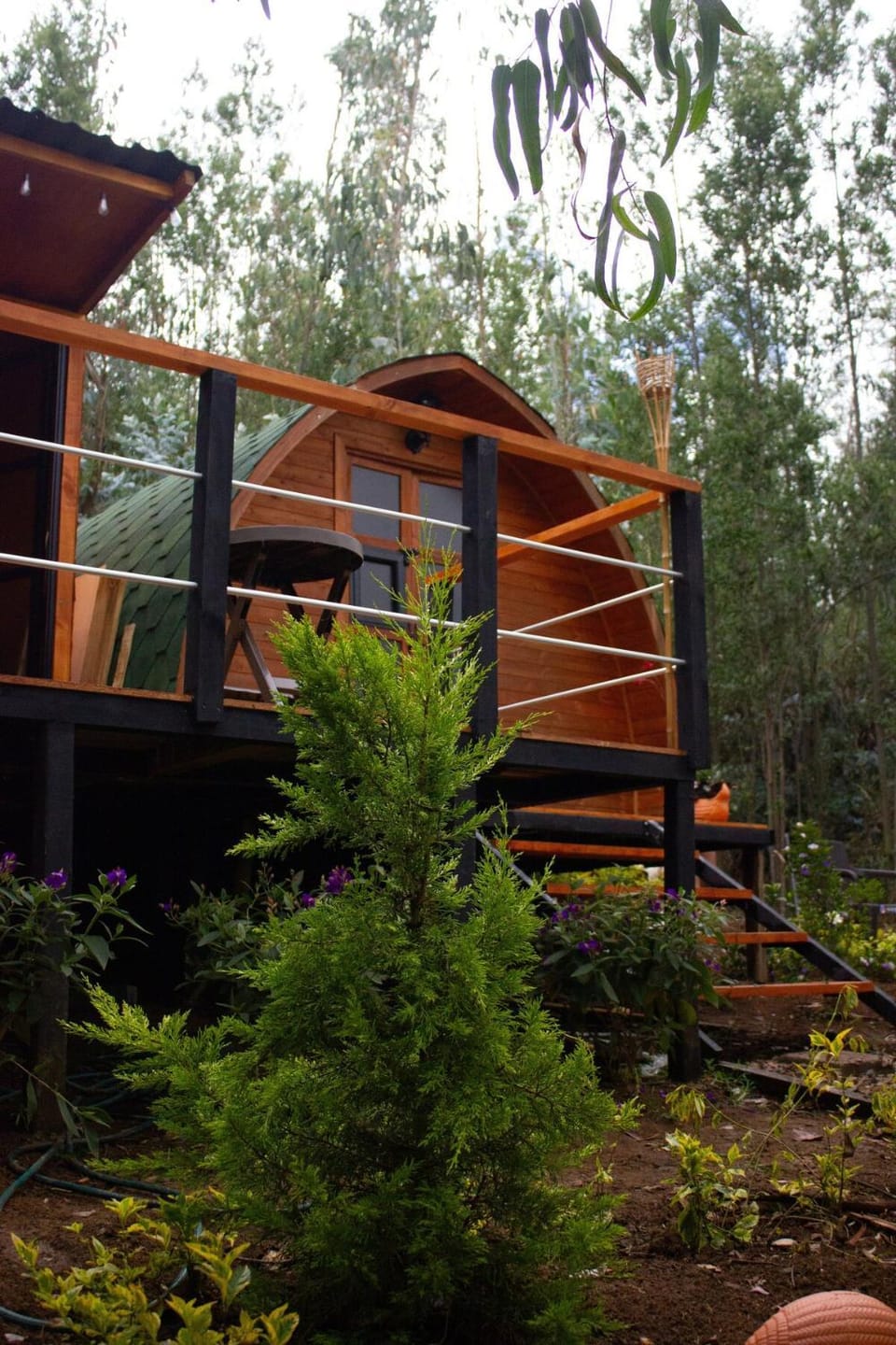 Silua Eco glamping House in Boyaca