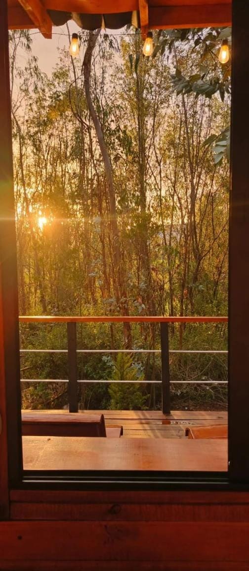 Silua Eco glamping House in Boyaca