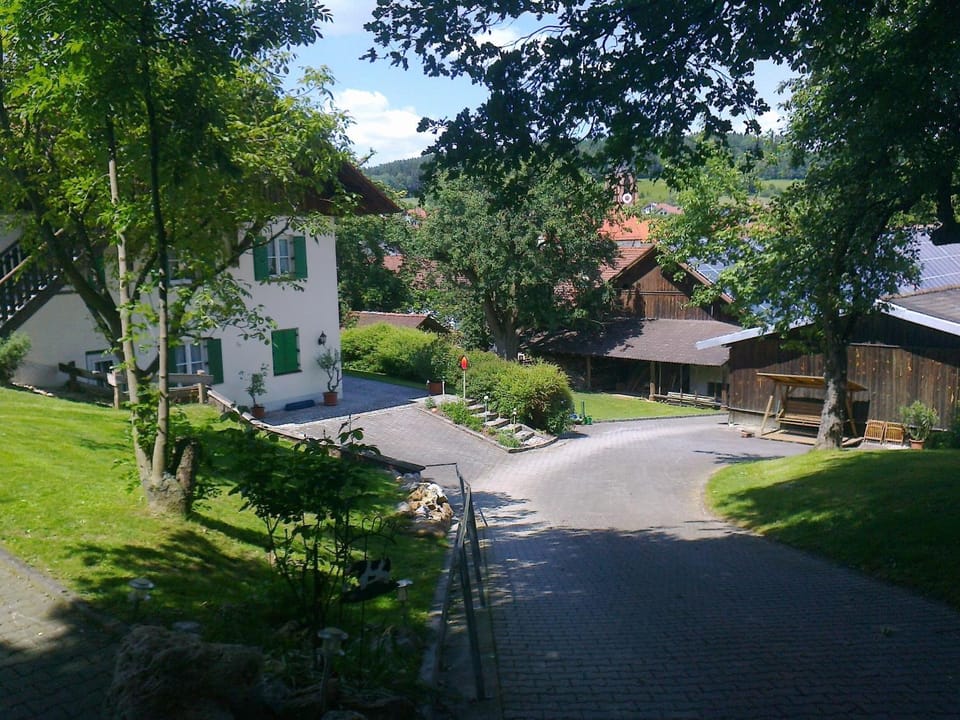 Garden view