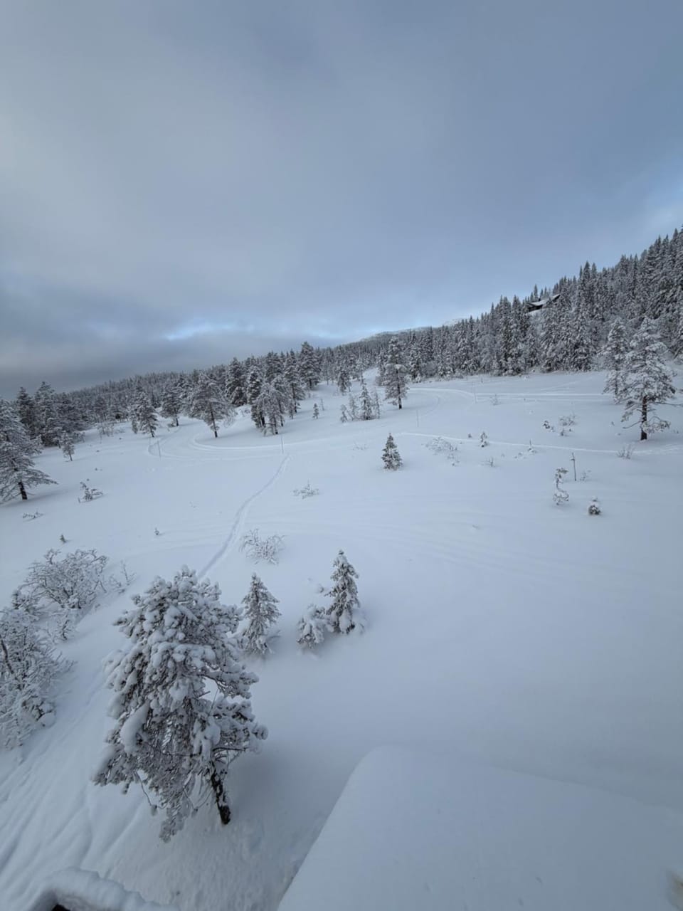 NEW cozy and large lodge with private Jacuzzi and sauna Chalet in Viken, Norway