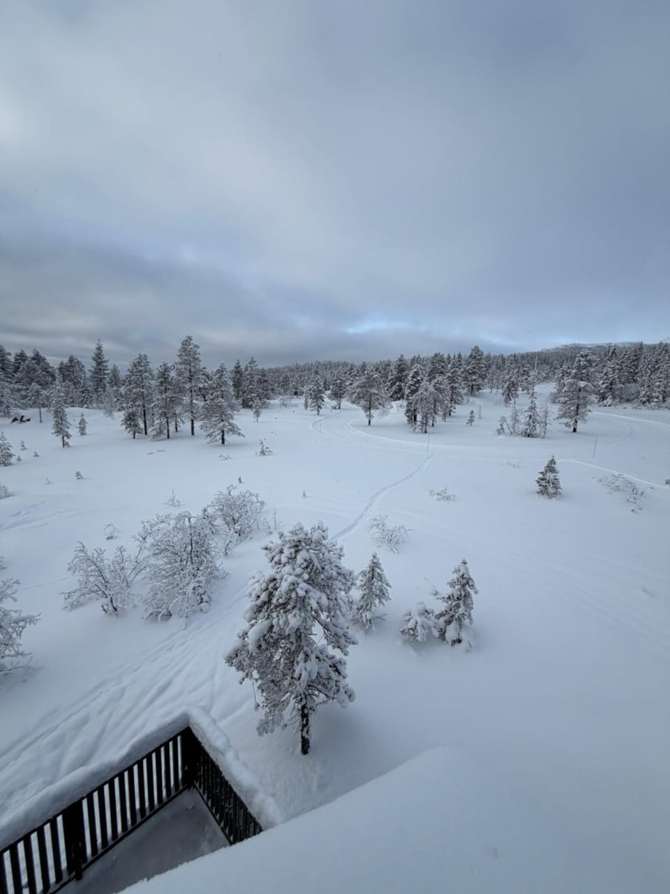 NEW cozy and large lodge with private Jacuzzi and sauna Chalet in Viken, Norway