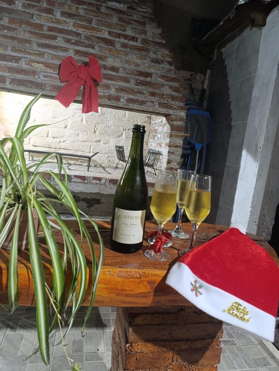 La Casita del Malbec Apartment in Mendoza