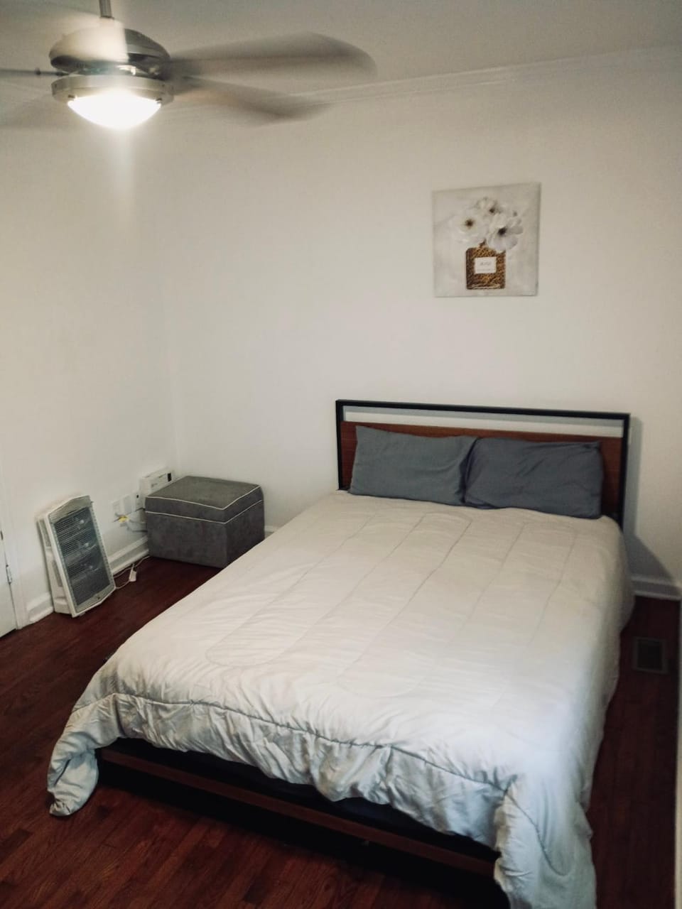 Photo of the whole room